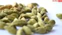Cardamom Benefits: દરરોજ ઇલાયચી ચાવવાથી થાય છે આ અદ્ભુત ફાયદા
