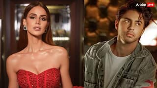 आर्यन खान की रूमर्ड गर्लफ्रेंड ने बर्थडे पर खास अंदाज में किया विश, लुटाया प्यार