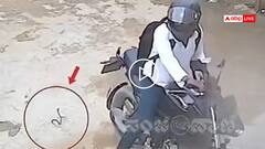 Video: सड़क पर पड़े सांप पर अनजाने में चढा दी बाइक, उसने पैर में डसा, सामने आया वीडियो