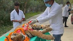 Tigress Malani Dies At Gorakhpur Zoo; Seventh Major Animal Death In Months Sparks Concern