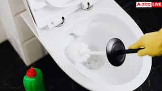 Why Poop Floats: बार-बार फ्लश करने के बावजूद क्या कमोड में तैरती रहती है आपकी पॉटी, कैसे खोलती है सेहत के राज?