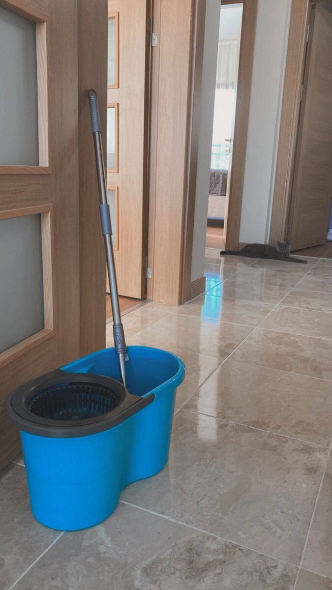 वास्तुशास्त्रानुसार सकाळी सूर्योदयानंतर आणि दुपार होण्यापूर्वी फरशी पुसणं शुभ मानलं जातं. या वेळेत वातावरणात सकारात्मक ऊर्जा असते जी घरात शांती आणि सौभाग्य आणते.