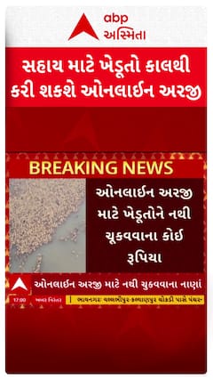 Gujarat Farmers Relief Package : ખેડૂતોને કેવી રીતે મળશે સહાય? કેવી રીતે કરવાની રહેશે અરજી?