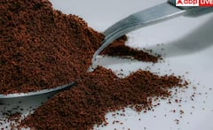 Protein Powder ‘ਚ ਗਲਤੀ ਨਾਲ ਵੀ ਨਹੀਂ ਮਿਲਾਉਣੀਆਂ ਚਾਹੀਦੀਆਂ ਆਹ ਚੀਜ਼ਾਂ, ਨਹੀਂ ਤਾਂ ਵਿਗੜ ਜਾਵੇਗੀ ਸਿਹਤ