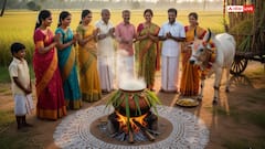 Pongal 2026: जानिए कब मनाया जाएगा यह फसल उत्सव, इसका धार्मिक महत्व और प्रमुख परंपराएं