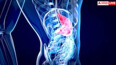 fatty liver vegetables: इन 5 सब्जियों से रिवर्स हो जाता है फैटी लिवर, जानें इन्हें खाने का सही वक्त