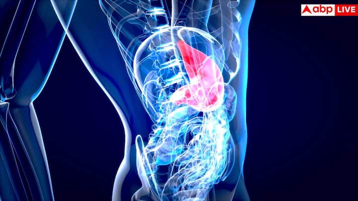 डायट की बात आती है, तो कुछ ऐसी सब्जियां हैं जो फैटी लिवर को सुधारने में खास भूमिका निभाती हैं. इन्हें रोजाना या नियमित डाइट में शामिल करने से लिवर के ऊपर पड़ने वाला बोझ कम होता है और सूजन भी घटती है. बस ध्यान रहे, इन सब्जियों के साथ संतुलित खान-पान, वर्कआउट और डॉक्टर द्वारा दी गई दवाएं भी जरूरी हैं.