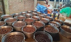 कहीं छन रही जलेबी तो कहीं बन रहे 'मोदीचूर' के लड्डू, बिहार में कैसे हो रही जीत के जश्न की तैयारी?