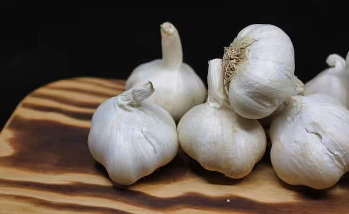 लहसुन में मौजूद सल्फर से भरपूर एलिसिन और सेलेनियम लिवर की सफ़ाई प्रक्रिया को तेज़ करते हैं। ये शरीर से विषाक्त पदार्थों को बाहर निकालने और वसा के संचय को रोकने में भी मदद करते हैं। लहसुन रक्त में कोलेस्ट्रॉल और ट्राइग्लिसराइड के स्तर को भी कम करता है, जिससे लिवर स्वस्थ रहता है।