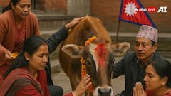 National Animal Cow: भारत नहीं इस देश की राष्ट्रीय पशु है गाय, गौ वध करना यहां है गैरकानूनी