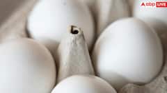 Egg benefits: एक दिन में कितने अंडे खाना सही? कहीं सर्दियों में बिगड़ न जाए तबीयत