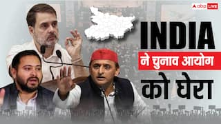 बिहार चुनाव में हार के बाद अब इन बहानों से समर्थकों का दिल रखेंगे राहुल-तेजस्वी?