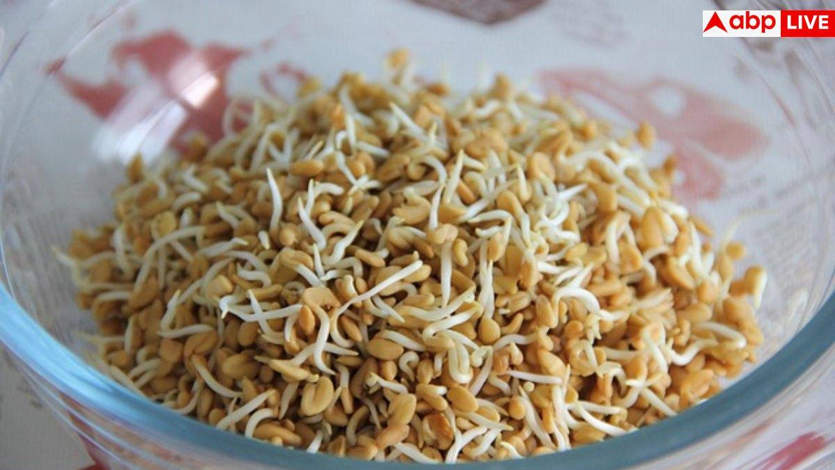 Methi Seeds: न रहेगी कब्ज की दिक्कत और वजन भी घटेगा, पानी में भिगोकर ऐसे चबाएं मेथी दाना