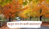 Autumn Season : शरद ऋतूत पानं रंग का बदलतात?