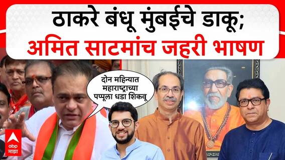 Amit Satam Speech  :  ठाकरे बंधू मुंबईचे डाकू; अमित साटमांच जहरी भाषण
