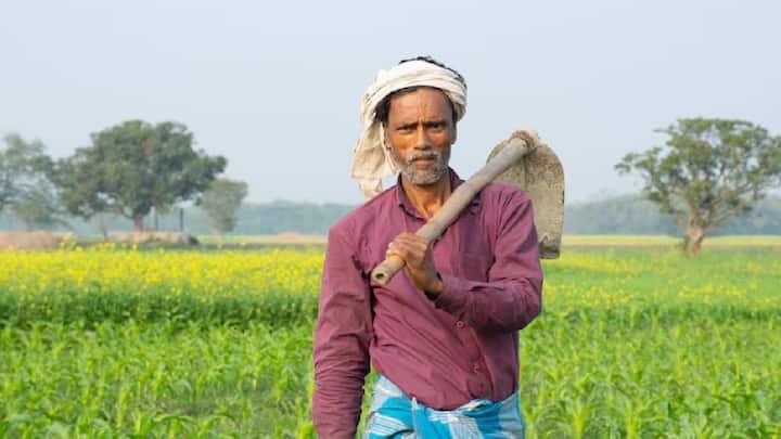इसी संभावना ने किसानों को राहत की सांस दी है. क्योंकि इससे उनकी सालाना आय सीधी बढ़ जाएगी. पीएम किसान योजना के तहत केंद्र सरकार किसानों को साल में तीन बार 2-2 हजार रुपये भेजती है. यानी कुल 6 हजार रुपये.