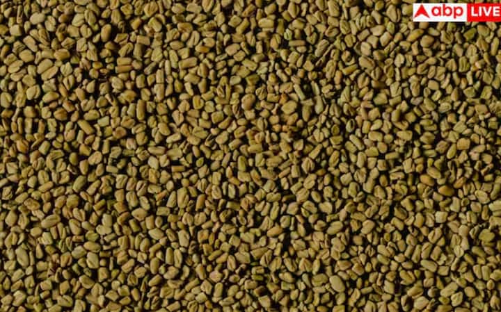 ਮੇਥੀ ਦੇ ਸਭ ਤੋਂ ਮਹੱਤਵਪੂਰਨ ਫਾਇਦਿਆਂ ਵਿੱਚੋਂ ਇੱਕ ਬਲੱਡ ਸ਼ੂਗਰ ਦਾ ਸੰਤੁਲਨ ਬਣਾਈ ਰੱਖਣਾ ਹੈ। ਭਿੱਜੀ ਮੇਥੀ ਤੋਂ ਗਲੈਕਟੋਮੈਨਨ ਫਾਈਬਰ ਕਾਰਬੋਹਾਈਡਰੇਟ ਦੇ ਪਾਚਨ ਨੂੰ ਹੌਲੀ ਕਰਦਾ ਹੈ, ਅਚਾਨਕ ਸ਼ੂਗਰ ਦੇ ਵਾਧੇ ਨੂੰ ਰੋਕਦਾ ਹੈ। ਜੇਕਰ ਤੁਸੀਂ ਭਾਰ ਘਟਾਉਣ ਦੀ ਕੋਸ਼ਿਸ਼ ਕਰ ਰਹੇ ਹੋ, ਤਾਂ ਭਿੱਜੀ ਮੇਥੀ ਤੁਹਾਨੂੰ ਲੰਬੇ ਸਮੇਂ ਤੱਕ ਪੇਟ ਭਰਿਆ ਮਹਿਸੂਸ ਕਰਨ, ਸਨੈਕਿੰਗ ਘਟਾਉਣ ਅਤੇ ਭੁੱਖ ਨੂੰ ਕੰਟਰੋਲ ਕਰਨ ਵਿੱਚ ਮਦਦ ਕਰ ਸਕਦੀ ਹੈ। ਇਸ ਤੋਂ ਇਲਾਵਾ, ਇੱਕ ਸਿਹਤਮੰਦ ਪਾਚਨ ਪ੍ਰਣਾਲੀ ਮੈਟਾਬੋਲਿਜ਼ਮ ਨੂੰ ਬਿਹਤਰ ਬਣਾਉਂਦੀ ਹੈ।