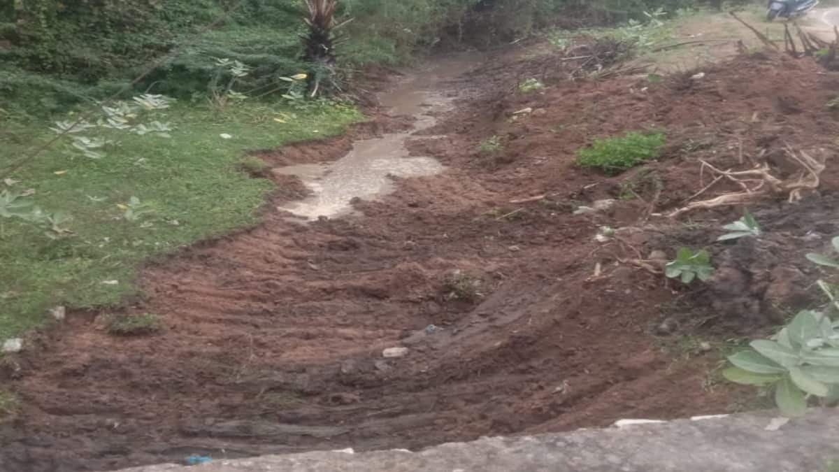 தூர்ந்து போய் கிடந்த வரத்து வாய்க்கால்... விவசாயிகளுக்காக சொந்த பணத்தில் தூர்வாரி கொடுத்த எம்எல்ஏ