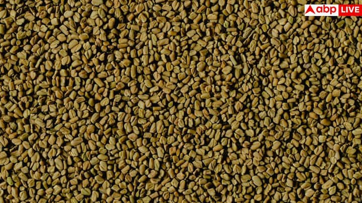 मेथी का सबसे बड़ा फायदा है ब्लड शुगर संतुलित रखना. भिगोई मेथी से निकलने वाला गैलेक्टोमैनन फाइबर कार्बोहाइड्रेट को धीरे पचाता है, जिससे शुगर अचानक नहीं बढ़ती. अगर आप वजन कम करने की कोशिश में हैं, तो भिगोई हुई मेथी आपको लंबे समय तक भरा हुआ महसूस कराती है, स्नैकिंग कम होती है और भूख नियंत्रण में रहती है. साथ ही पाचन दुरुस्त रहने से मेटाबॉलिजम भी बेहतर काम करता है.