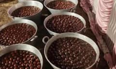 कहीं छन रही जलेबी तो कहीं बन रहे 'मोदीचूर' के लड्डू, बिहार में कैसे हो रही जीत के जश्न की तैयारी?