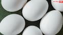 Egg benefits: एक दिन में कितने अंडे खाना सही? कहीं सर्दियों में बिगड़ न जाए तबीयत