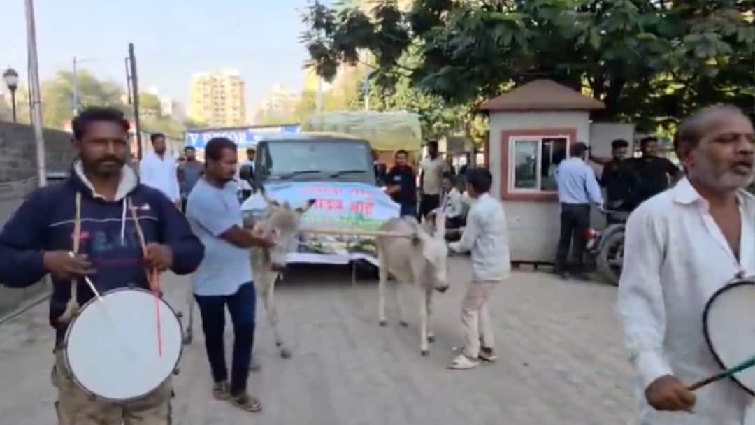 WATCH: Furious Thar Owner Drags SUV To Showroom With Donkeys After Months Of Unresolved Issues viral-video-maharashtra-man-drags-mahindra-thar-with-donkeys-protest-over-car-issues WATCH: Furious Thar Owner Drags SUV To Showroom With Donkeys After Months Of Unresolved Issues