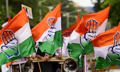 ਪੰਜਾਬ ਕਾਂਗਰਸ ਨੂੰ ਲੱਗਿਆ ਵੱਡਾ ਝਟਕਾ! ਇਸ ਨਾਮੀ ਆਗੂ ਨੇ BJP ਦਾ ਫੜਿਆ ਪੱਲਾ, ਸਿਆਸੀ ਗਲਿਆਰਿਆਂ 'ਚ ਮੱਚੀ ਹਲਚਲ