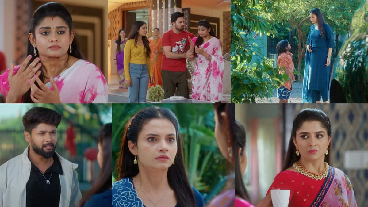 Chinni Serial Today November 14th: చిన్ని సీరియల్: మధుకి నాగవల్లి సీరియస్‌ వార్నింగ్! డ్రాప్ అయిపోయిన మధు! ఆఫ్‌టికెట్‌కి షాక్!
