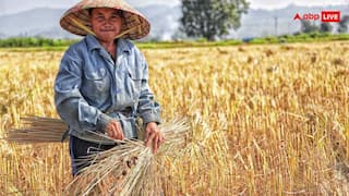 केंद्रीय कृषि विश्वविद्यालय में निकली वैकेंसी, बिना एग्जाम हो रहा सिलेक्शन