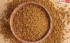 ਨਾ ਰਹੇਗੀ ਕਬਜ਼ ਅਤੇ ਘਟੇਗਾ ਭਾਰ, ਪਾਣੀ 'ਚ ਇੰਝ ਭਿਓਂ ਕੇ ਖਾਓ ਮੇਥੀ ਦਾਣਾ