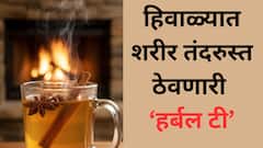 Winter healthcare tips:हिवाळ्यात अमृत आहे 'ही' हर्बल टी! जाणून घ्या कशी बनवायची ही चहा..
