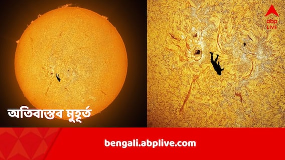 Skydiving Through Sun: সূর্যের সামনে ভাসছে মানুষ, ফ্রেমবন্দি অতিবাস্তব মুহূর্ত, নিমেষে ভাইরাল