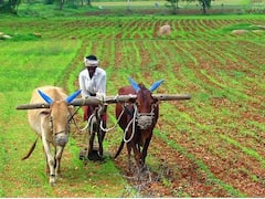 પીએમ કિસાન 21મા હપ્તાની તારીખ જાહેર: આ દિવસે ₹2,000 ખાતામાં જમા થશે, PM મોદી કરશે જાહેરાત