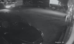 Leopard Junnar Pune News: धावत्या वाहनांवर झडप घालण्याचा बिबट्याचा प्रयत्न, जुन्नरचं भयानक वास्तव सीसीटीव्हीत कैद, PHOTO