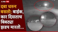 Leopard Junnar Pune News: धावत्या वाहनांवर झडप घालण्याचा बिबट्याचा प्रयत्न, जुन्नरचं भयानक वास्तव सीसीटीव्हीत कैद, PHOTO