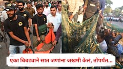 एका बिबट्याने सात जणांना जखमी केलं, तोपर्यंत दुसरा बिबट्या आला पळा पळा अफवा पसरली; नेमकं काय घडलं?