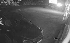 Leopard Junnar Pune News: धावत्या वाहनांवर झडप घालण्याचा बिबट्याचा प्रयत्न, जुन्नरचं भयानक वास्तव सीसीटीव्हीत कैद, PHOTO