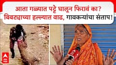 Ahilyanagar Leopard : आता गळ्यात पट्टे घालून फिरावं का? बिबट्याच्या हल्ल्यात वाढ, गावकऱ्यांचा संताप