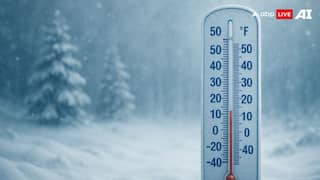 Cold Wave Warning: कितनी तेज ठंड होने पर मौसम विभाग देता है शीत लहर की चेतावनी, कैसे होता है तय?