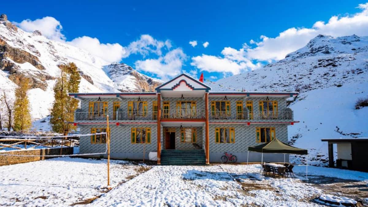 (Image Source: x/ bluntwallflower)