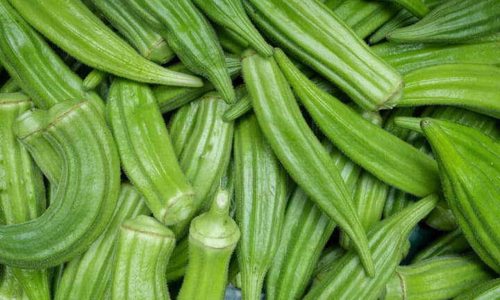 वहीं 2020 की एक स्टडी में पाया गया है कि भिंडी के पोड एक्सट्रैक्ट्स किडनी टिश्यू को टॉक्सिन्स से बचाने में मदद करते हैं. इसमें मौजूद एंटीऑक्सीडेंट एंजाइम किडनी सेल्स को सुरक्षा देते हैं और चोट के निशान को कम करती है.