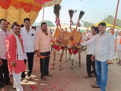 Chhatrapati Sambhajinagar : छत्रपती संभाजीनगरच्या सुप्रसिद्ध महालगाव बैल बाजारात 'सर्जा-राजा'ची हवा; बैल जोडीच्या उच्चांक भावाची नोंद