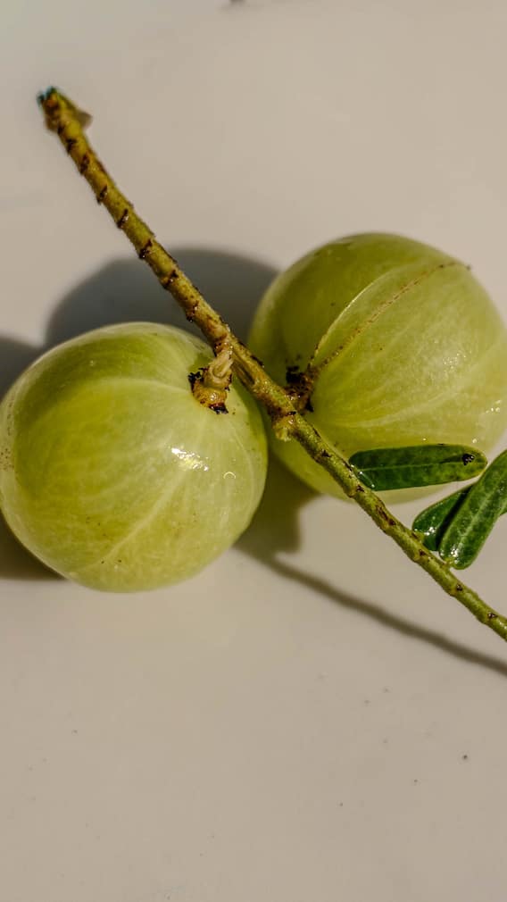 6 Amazing Benefits You Get From Eating One Amla Daily