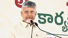 Andhra CM Naidu Reassures Amaravati Farmers, Promises Capital Recognition, Land Value Growth