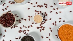 इंटरनेट पर छाया BeanTok ट्रेंड, क्या सच में दो कप बीन्स खाने से मूड और गट हेल्थ होती है बेहतर?