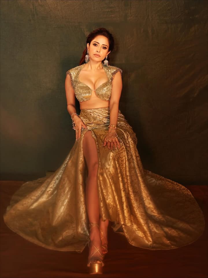 नुसरत भरूचा की फैन फॉलोइंग बहुत बड़ी है। उनकी हर तस्वीर पर लाखों से ज़्यादा लाइक्स और कमेंट्स आते हैं।