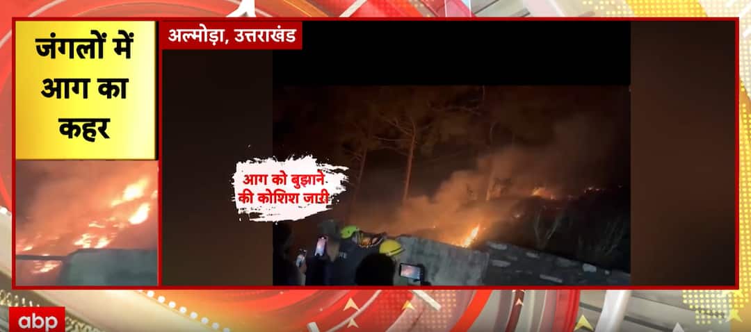 Breaking News: Sudden Fire in Almora Forest Sparks Major Environmental Concern