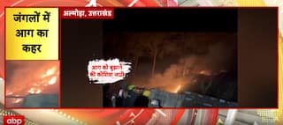 Breaking News: Sudden Fire in Almora Forest Sparks Major Environmental Concern