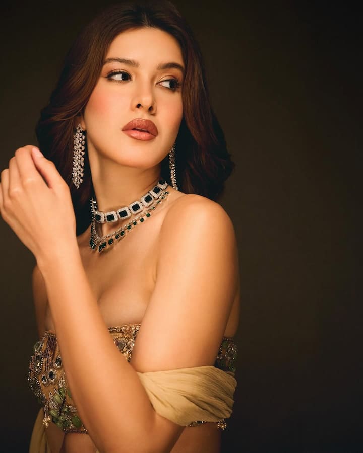 इस दौरान शनाया ने अपना मेकअप सटल रखा है. ब्राउन लिपस्टिक उनके लुक को क्लासी बना रही है.