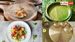 કાચ, પ્લાસ્ટિક કે પિત્તળ: જાણો કઈ પ્લેટમાં ભોજન કરવું સૌથી સલામત છે અને કયા વાાસણમાં ખાવું નુકસાનકારક?